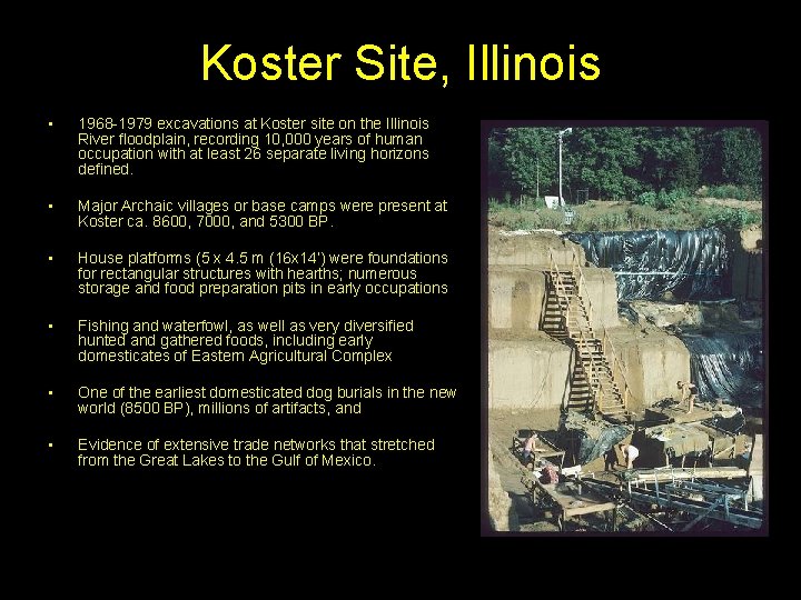 Koster Site, Illinois • 1968 -1979 excavations at Koster site on the Illinois River