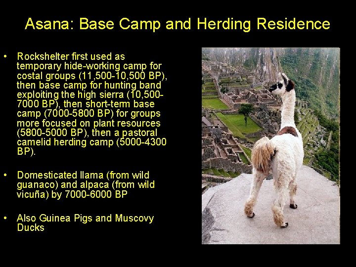 Asana: Base Camp and Herding Residence • Rockshelter first used as temporary hide-working camp