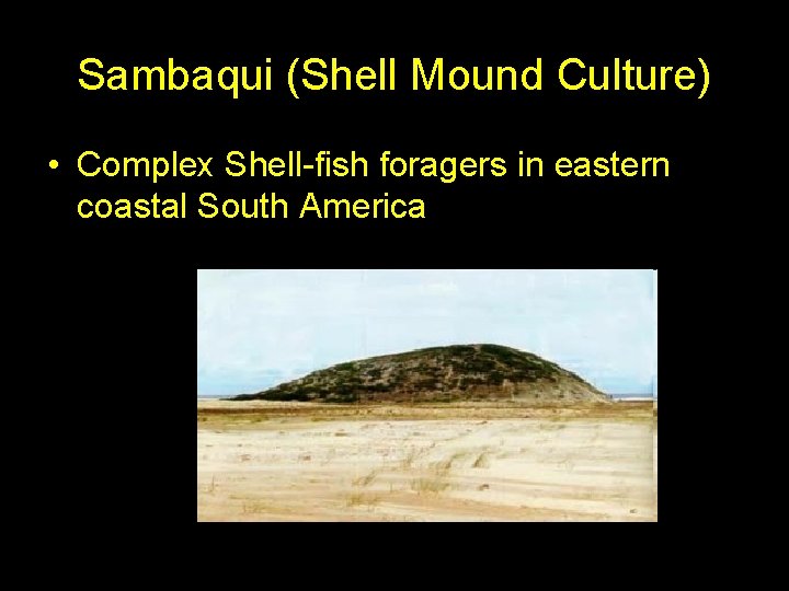 Sambaqui (Shell Mound Culture) • Complex Shell-fish foragers in eastern coastal South America 