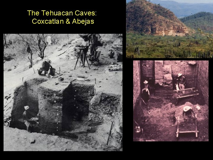 The Tehuacan Caves: Coxcatlan & Abejas 