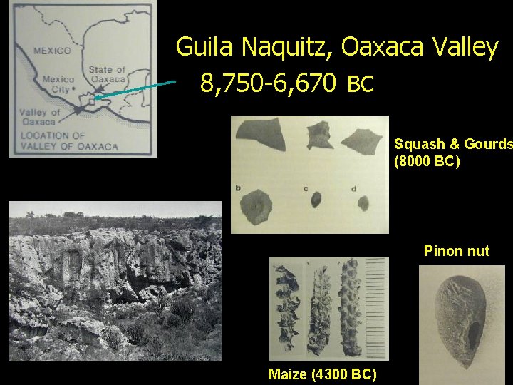 Guila Naquitz, Oaxaca Valley 8, 750 -6, 670 BC Squash & Gourds (8000 BC)