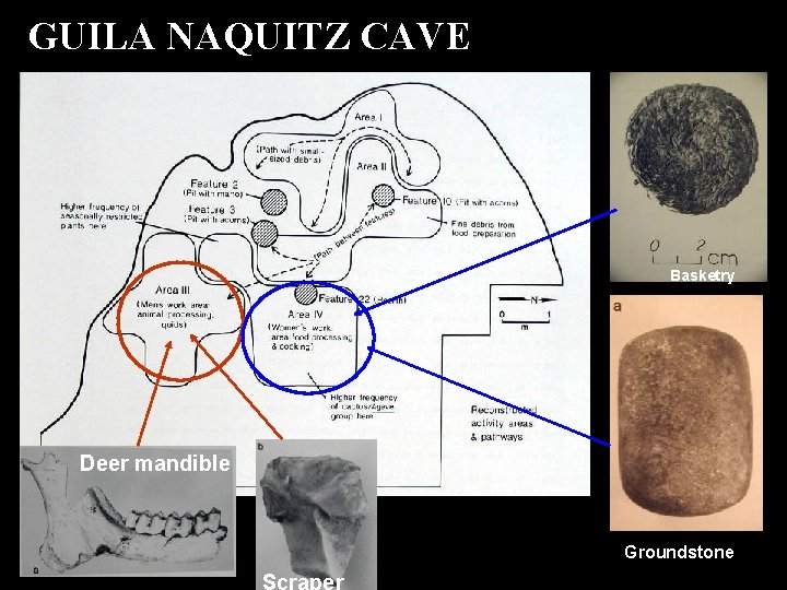 GUILA NAQUITZ CAVE Basketry Deer mandible Groundstone Scraper 