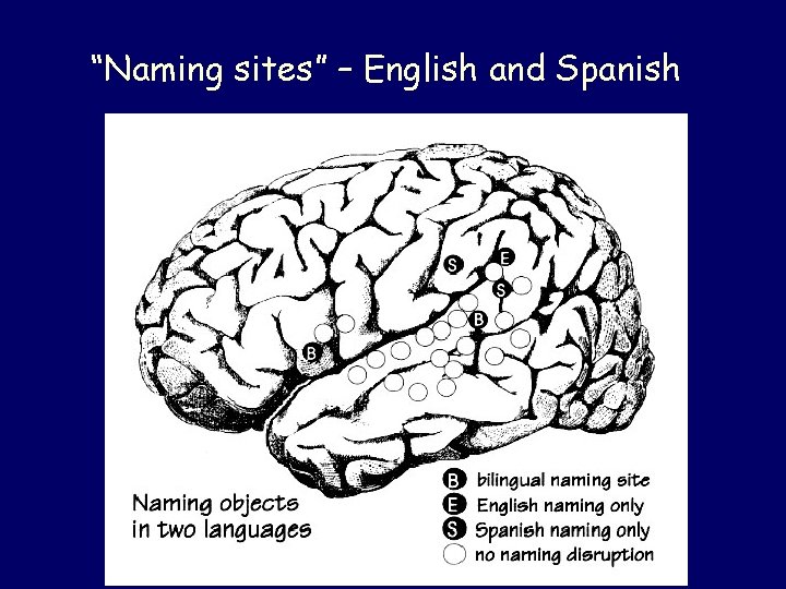 “Naming sites” – English and Spanish 