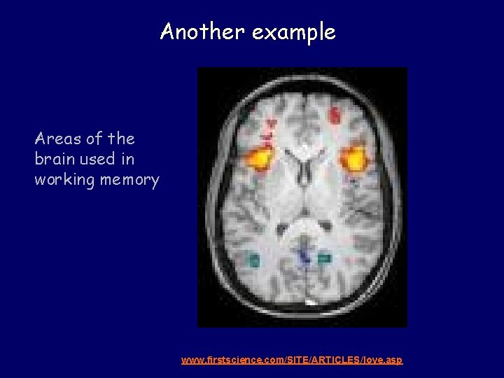 Another example Areas of the brain used in working memory www. firstscience. com/SITE/ARTICLES/love. asp