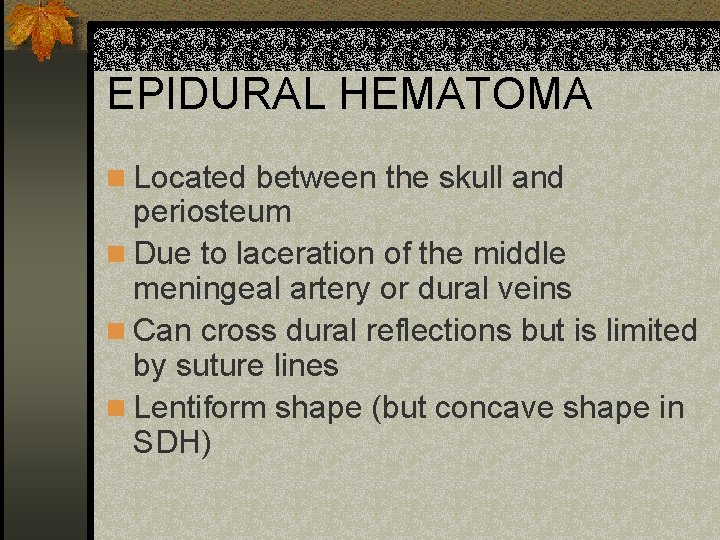 EPIDURAL HEMATOMA n Located between the skull and periosteum n Due to laceration of