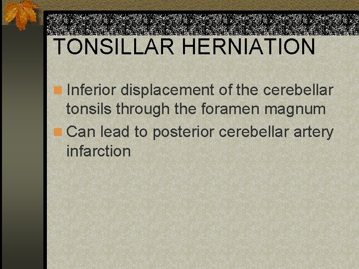 TONSILLAR HERNIATION n Inferior displacement of the cerebellar tonsils through the foramen magnum n