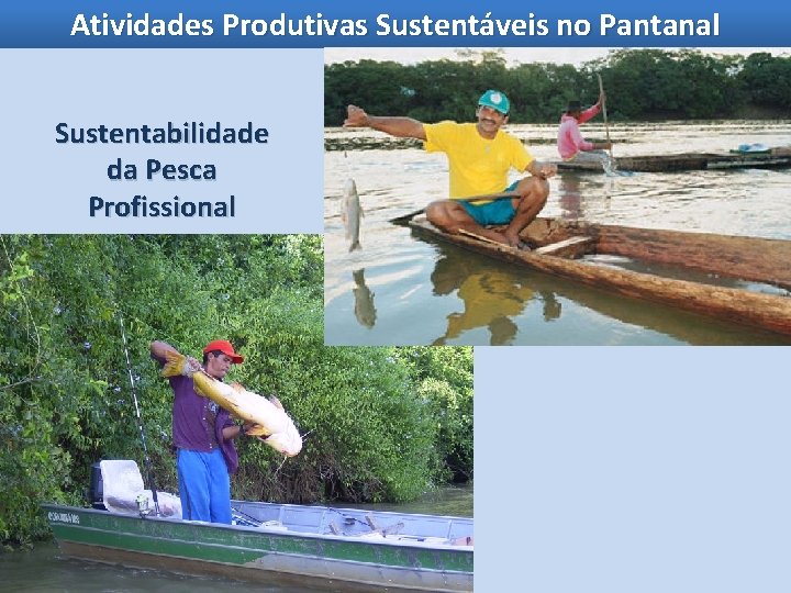 Atividades Produtivas Sustentáveis no Pantanal Sustentabilidade da Pesca Profissional 