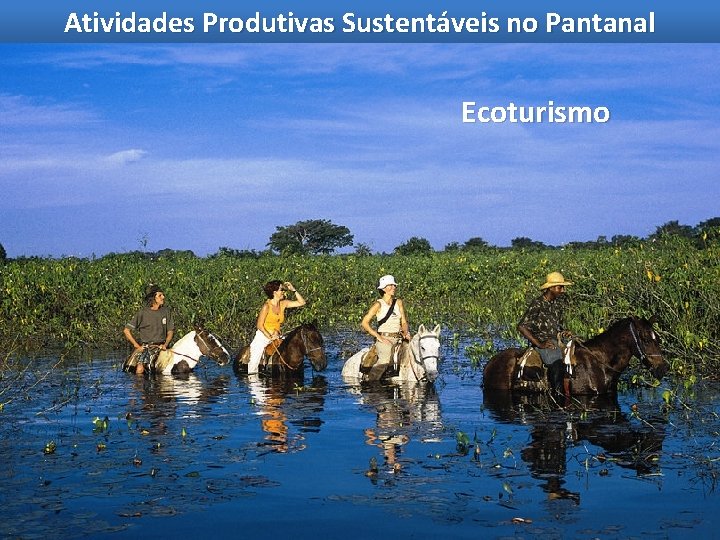 Atividades Produtivas Sustentáveis no Pantanal Ecoturismo 