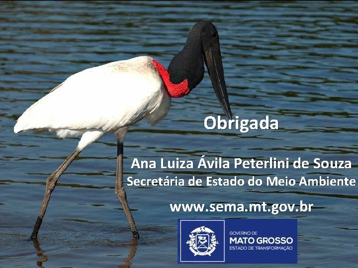 Obrigada Ana Luiza Ávila Peterlini de Souza Secretária de Estado do Meio Ambiente www.