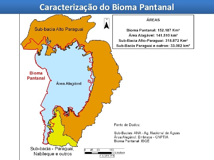 Caracterização do Bioma Pantanal 