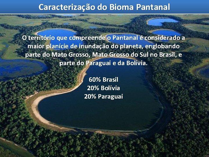 Caracterização do Bioma Pantanal O território que compreende o Pantanal é considerado a maior