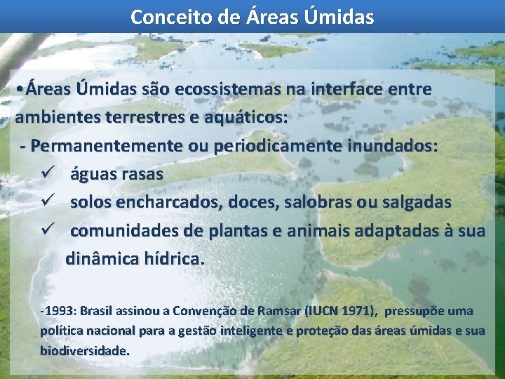 Conceito de Áreas Úmidas • Áreas Úmidas são ecossistemas na interface entre ambientes terrestres