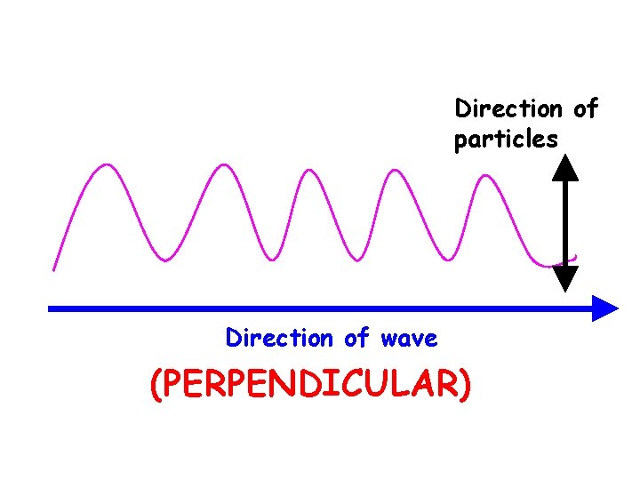 Direction of particles Direction of wave (PERPENDICULAR) 
