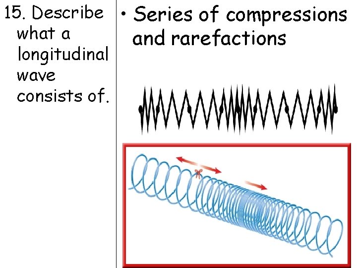 15. Describe • Series of compressions what a and rarefactions longitudinal wave consists of.