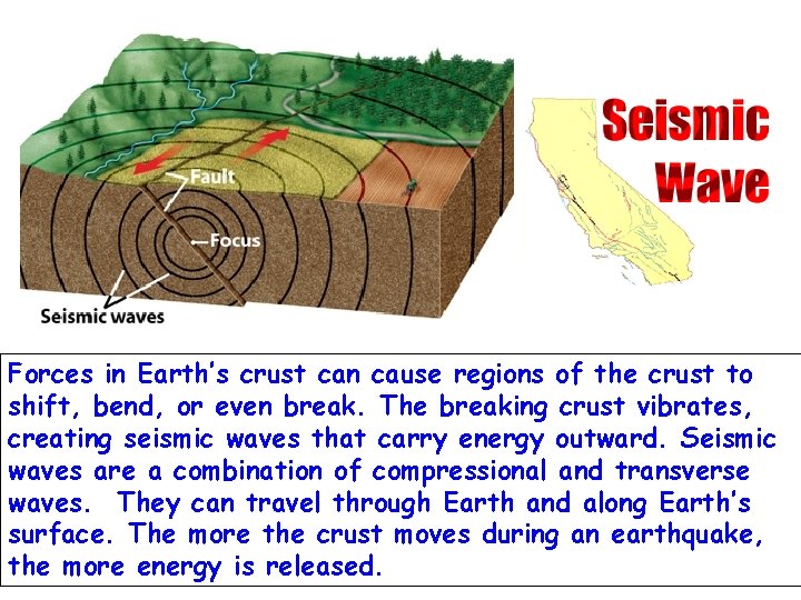 Forces in Earth’s crust can cause regions of the crust to shift, bend, or
