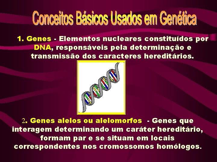 1. Genes - Elementos nucleares constituídos por DNA, responsáveis pela determinação e transmissão dos 1. Genes - Elementos nucleares constituídos por DNA, responsáveis pela determinação e transmissão dos