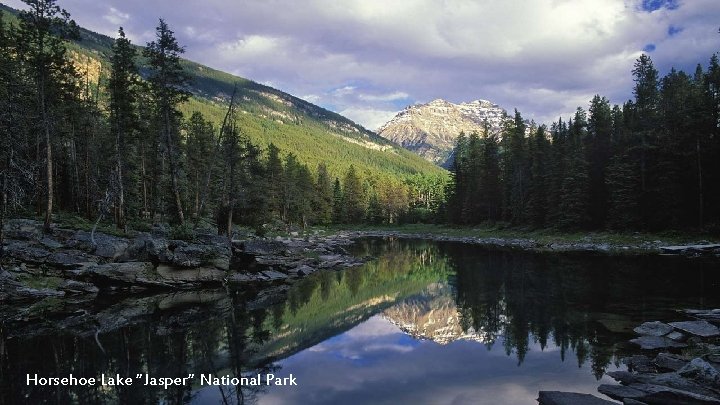 Horsehoe Lake “Jasper“ National Park 