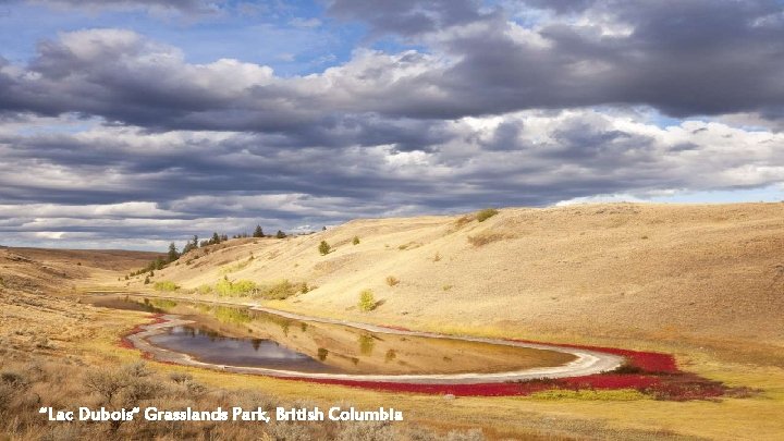 “Lac Dubois“ Grasslands Park, British Columbia 