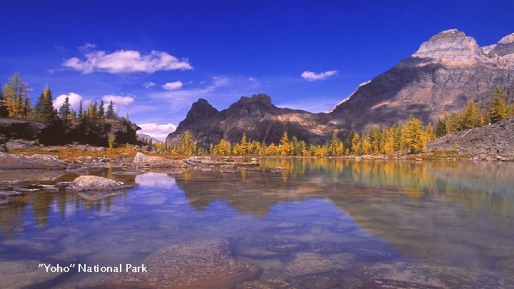 “Yoho” National Park 