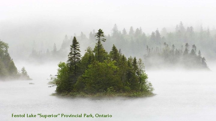 Fentol Lake “Superior” Provincial Park, Ontario 