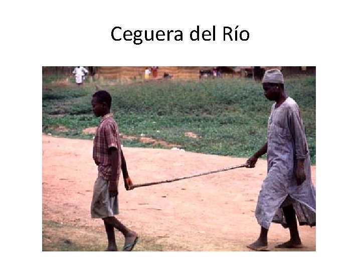 Ceguera del Río 