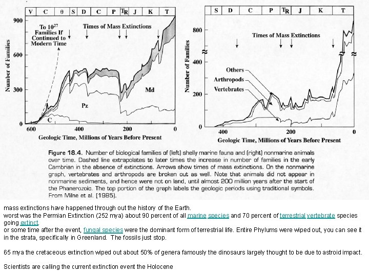 mass extinctions have happened through out the history of the Earth. worst was the