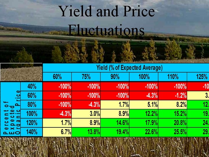 Yield and Price Fluctuations Yield and Price Fluctuations