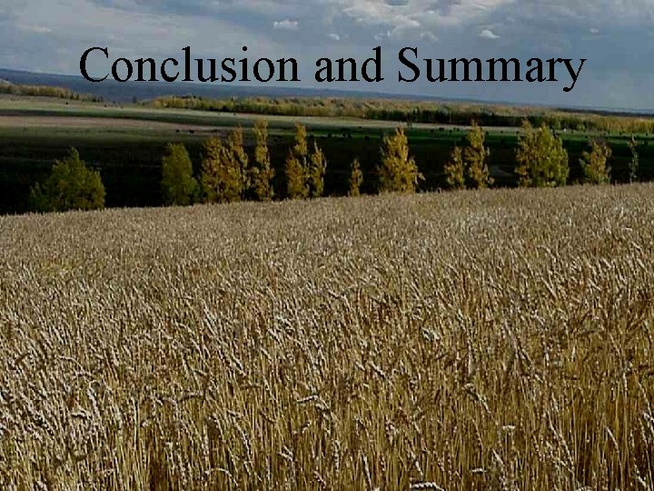 Conclusion and Summary Conclusion and Summary
