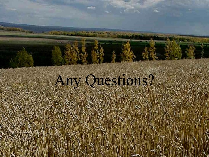 Any Questions? Any Questions?