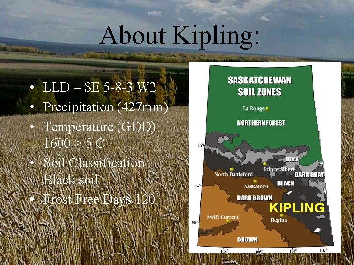 About Kipling: • LLD – SE 5 -8 -3 W 2 • Precipitation (427 About Kipling: • LLD – SE 5 -8 -3 W 2 • Precipitation (427