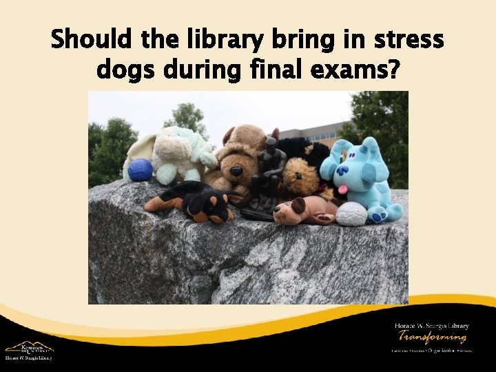 Should the library bring in stress dogs during final exams? 