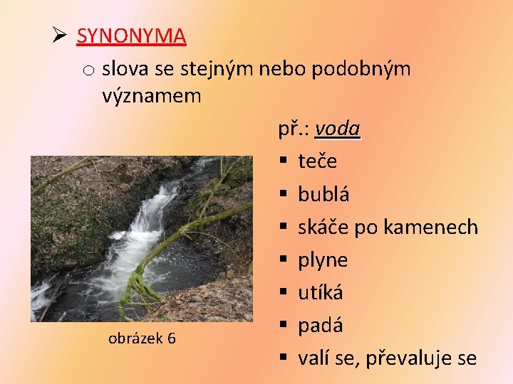 Ø SYNONYMA o slova se stejným nebo podobným významem př. : voda § teče