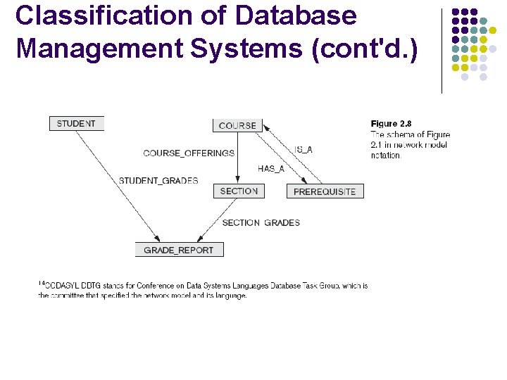 Classification of Database Management Systems (cont'd. ) 