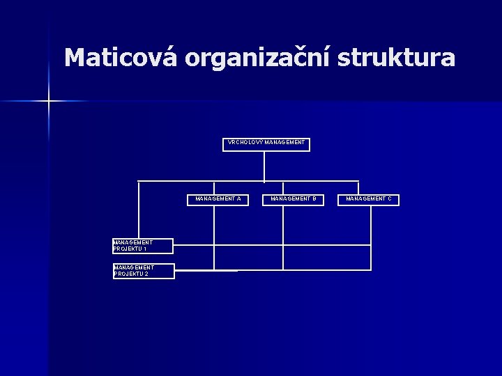 Maticová organizační struktura VRCHOLOVÝ MANAGEMENT A MANAGEMENT PROJEKTU 1 MANAGEMENT PROJEKTU 2 MANAGEMENT B