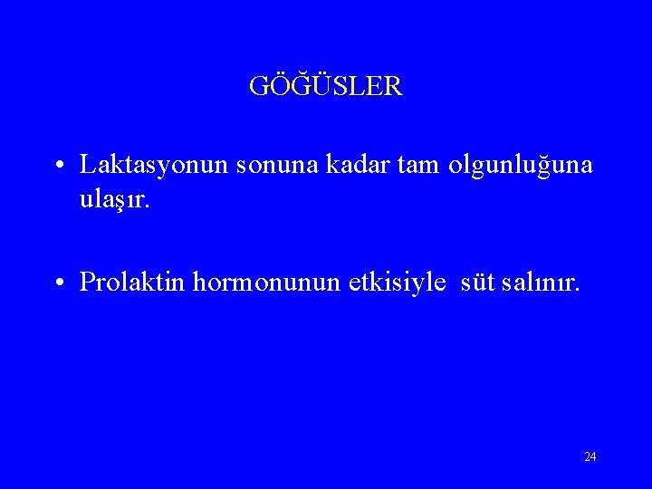 GÖĞÜSLER • Laktasyonun sonuna kadar tam olgunluğuna ulaşır. • Prolaktin hormonunun etkisiyle süt salınır.