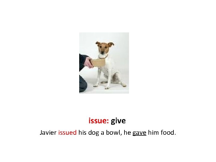 issue: give Javier issued his dog a bowl, he gave him food. 