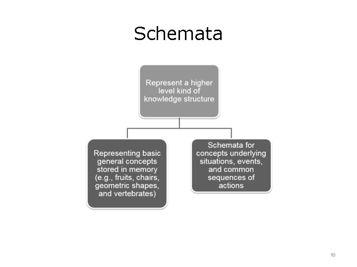 Schemata 10 