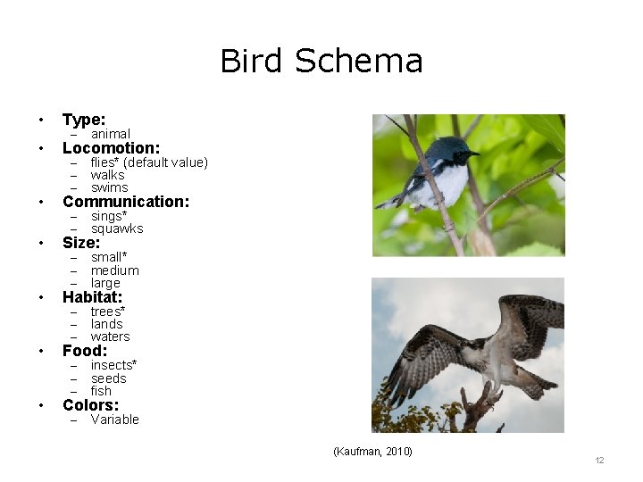 Bird Schema • Type: • Locomotion: • Communication: • Size: • Habitat: • Food: