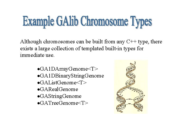 Although chromosomes can be built from any C++ type, there exists a large collection