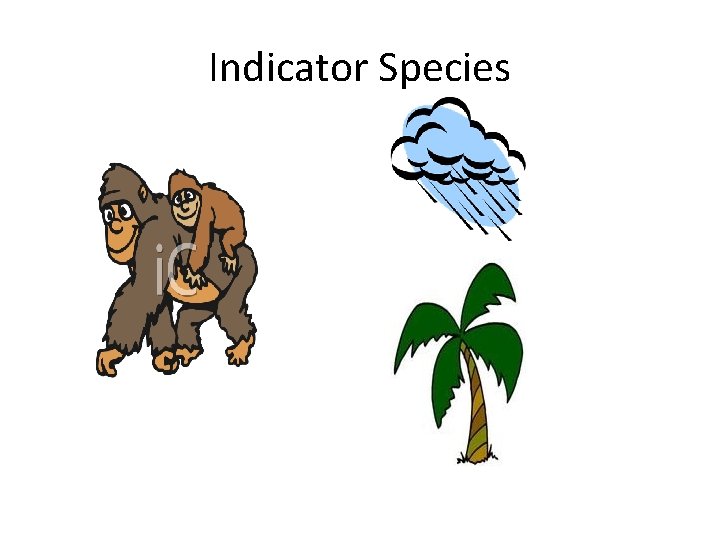 Indicator Species 