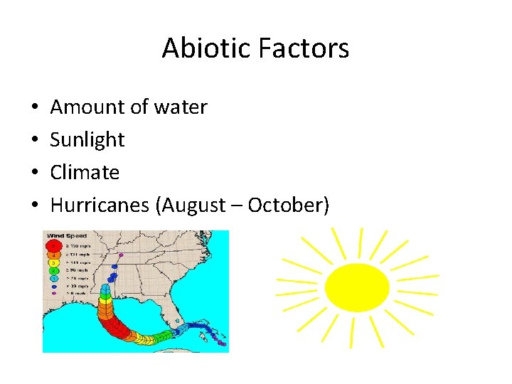 Abiotic Factors • • Amount of water Sunlight Climate Hurricanes (August – October) 