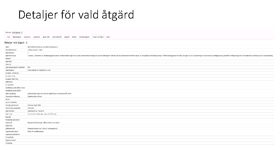 Detaljer för vald åtgärd 