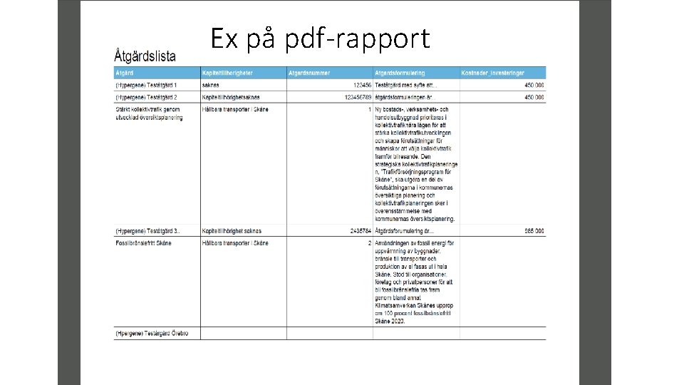 Ex på pdf-rapport 