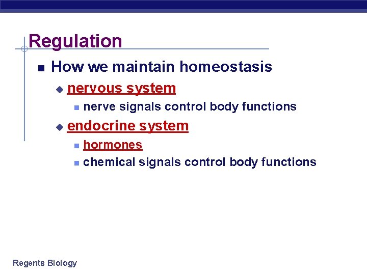 Regulation How we maintain homeostasis u nervous system u nerve signals control body functions Regulation How we maintain homeostasis u nervous system u nerve signals control body functions