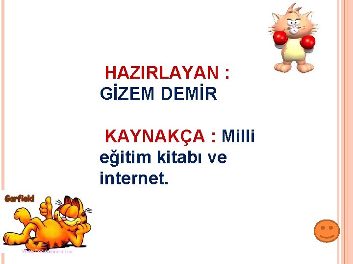 HAZIRLAYAN : GİZEM DEMİR KAYNAKÇA : Milli eğitim kitabı ve internet. 