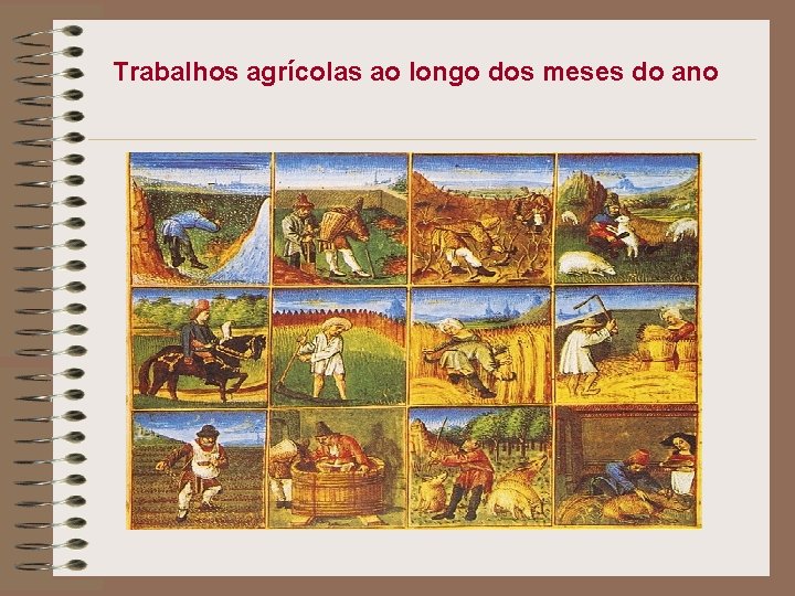  Trabalhos agrícolas ao longo dos meses do ano 