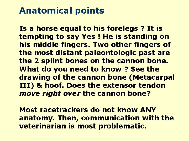 Anatomical points Is a horse equal to his forelegs ? It is tempting to