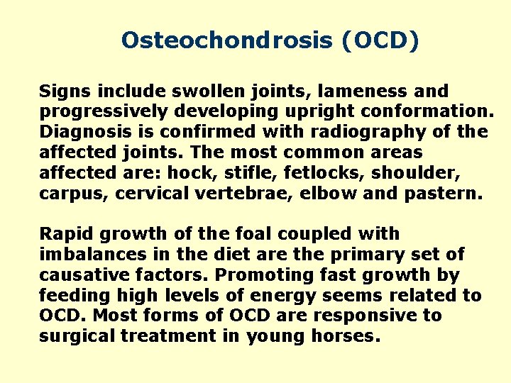 Osteochondrosis (OCD) Signs include swollen joints, lameness and progressively developing upright conformation. Diagnosis is