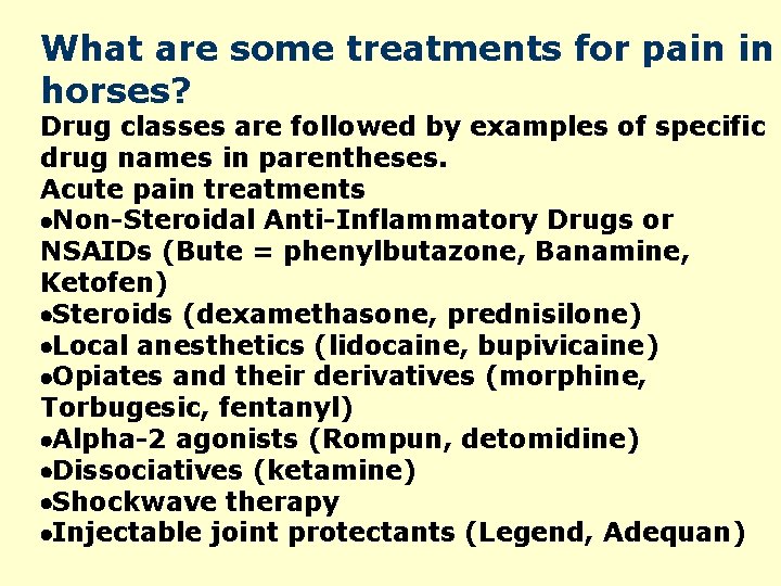 What are some treatments for pain in horses? Drug classes are followed by examples