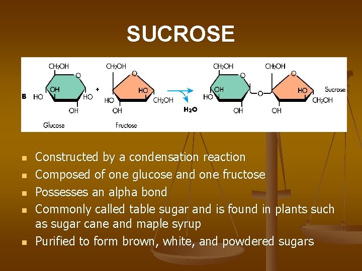 SUCROSE n n n Constructed by a condensation reaction Composed of one glucose and